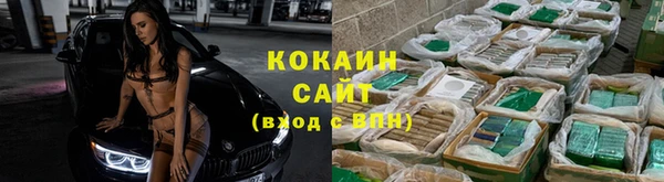 СК Дмитровск