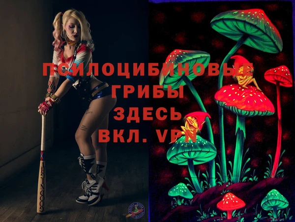 СК Дмитровск
